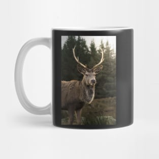 Sunlight Deer Mug